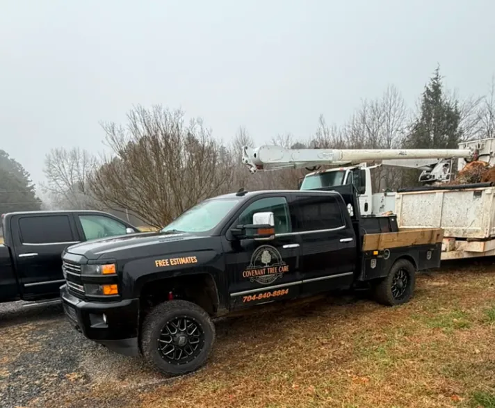 Covenant Tree Care estimate truck and bucket equipment