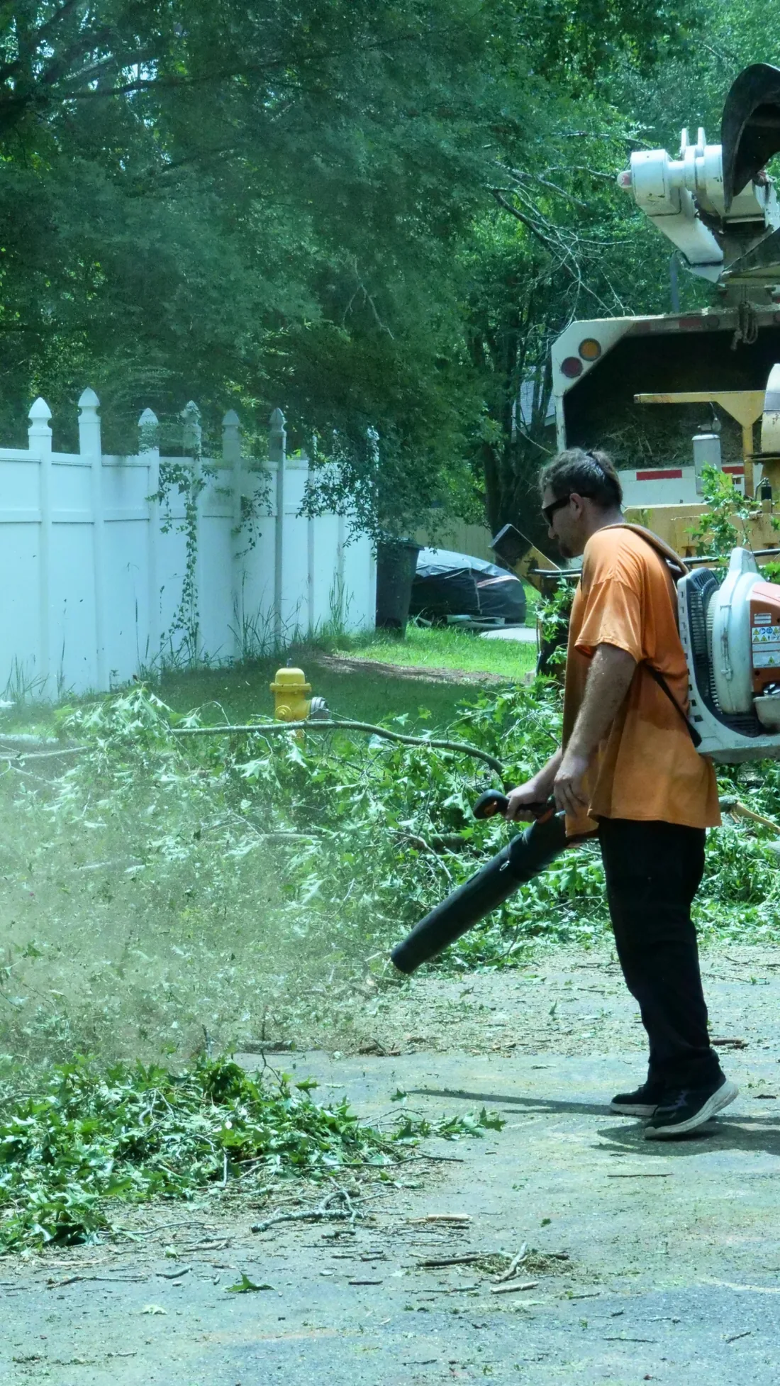 Covenant Tree Care crew cleaning branches and sawdust after tree work
