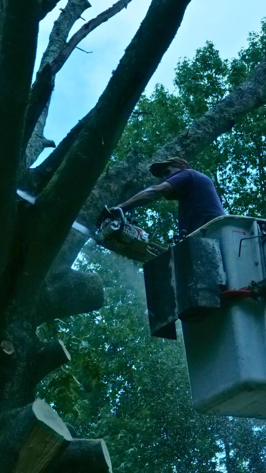 Close view of a crew member cutting a large limb from a bucket